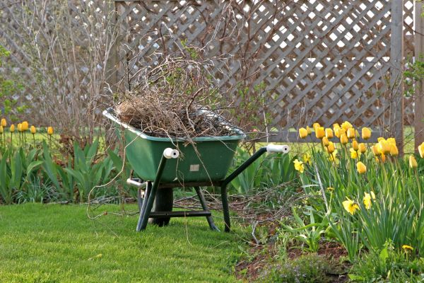 Flower Bed Cleanup Service in Sebring