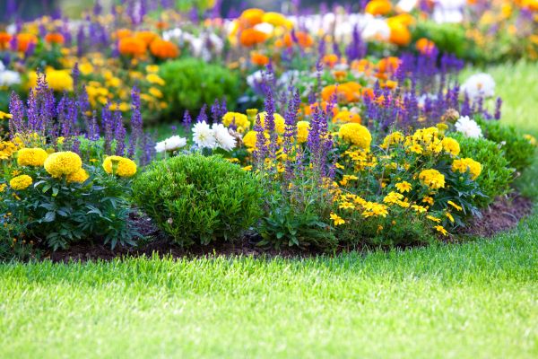 Flower Bed Maintenance in Sebring