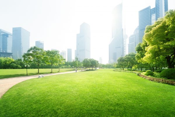 Commercial Landscape Maintenance in Sebring