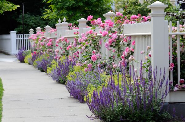 Garden Handyman Service in Sebring