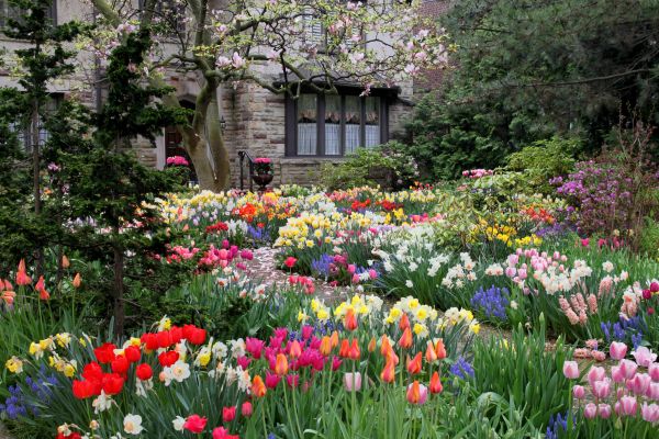Garden Maintenance Service in Sebring