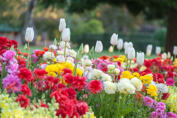 Gardening Service in Sebring