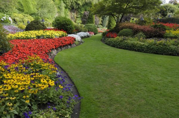 Landscaping Maintenance in Sebring