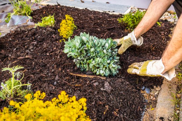 Weeding And Mulching in Sebring