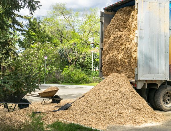 Wood Chips Delivery in Sebring
