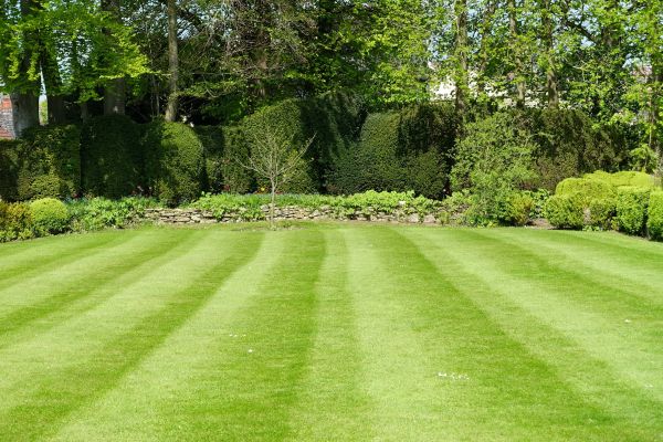 Lawn Renovation in Sebring