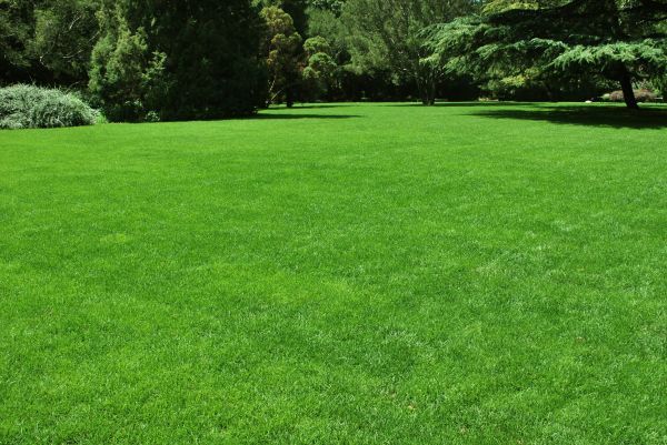 Lawn Landscaping in Sebring