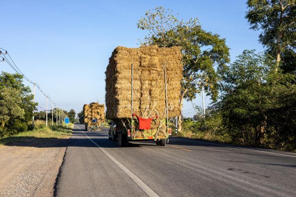 Pine Straw Delivery in Sebring