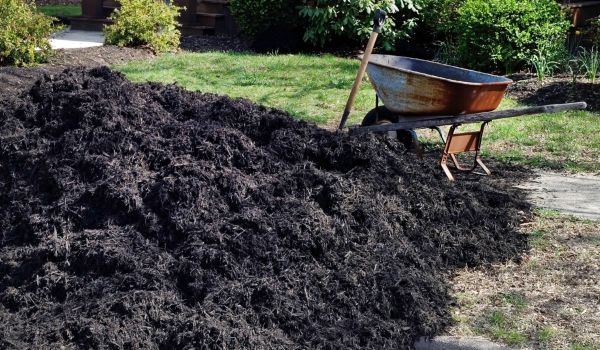 Black Mulch Delivery in Sebring