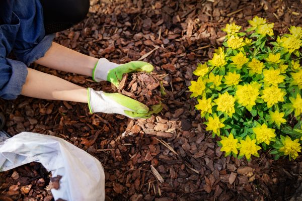 Garden Mulching in Sebring