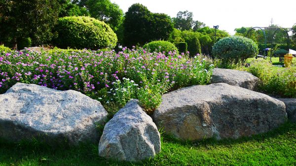 Boulder Landscaping in Sebring