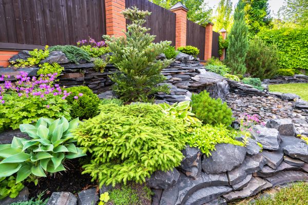 Landscape Remodeling in Sebring