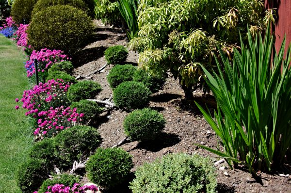 Residential Gardening in Sebring