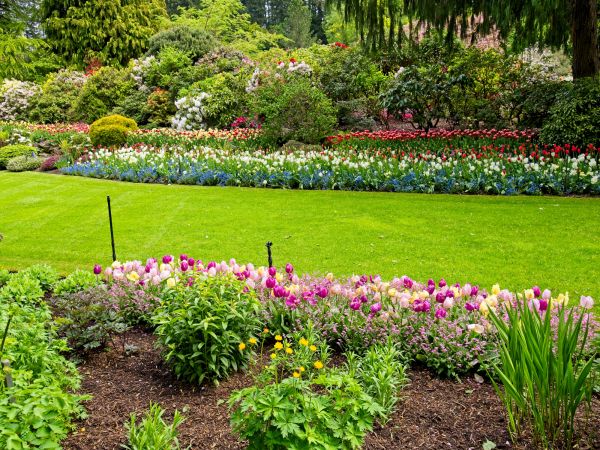 Residential Landscape Design in Sebring