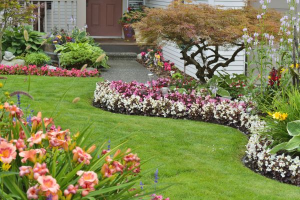 Perennial Landscaping in Sebring
