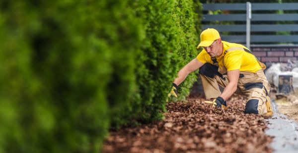 Cypress Mulch Installation in Sebring