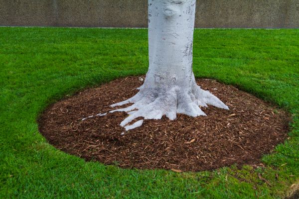 Brown Mulch Installation in Sebring