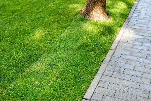 Border Stone Installation in Sebring