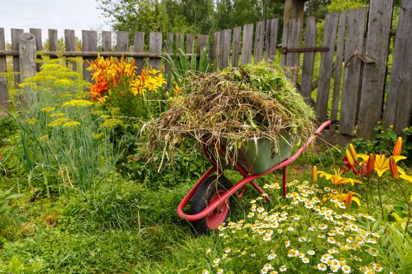 Garden Cleanup Service in Sebring