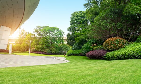 Business Landscape Design in Sebring