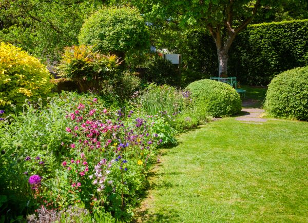 Yard Landscaping Service in Sebring