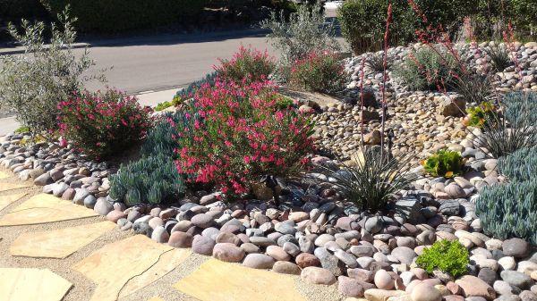 Xeriscape Landscaping in Sebring