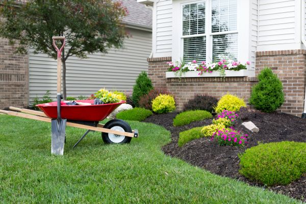 Tree And Shrub Planting in Sebring