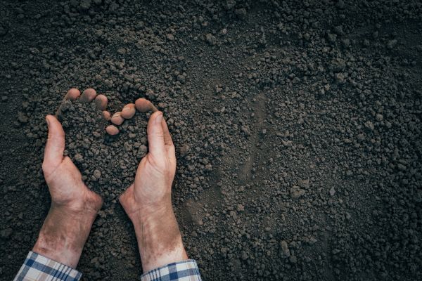Soil Installation in Sebring