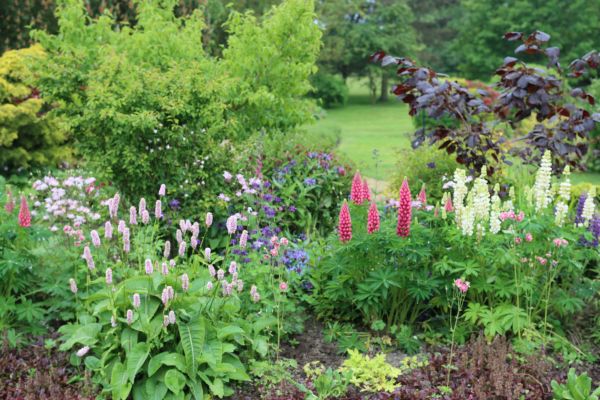 Flower Bed Planting in Sebring