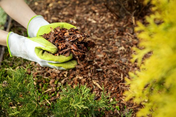Garden Mulch Delivery in Sebring