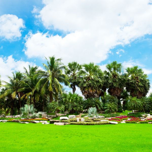 Tropical Landscaping in Sebring