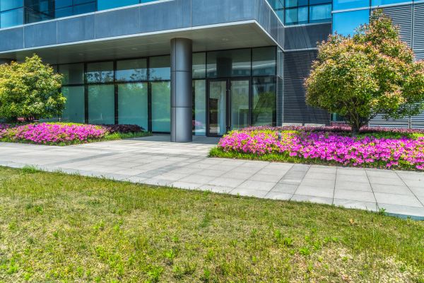 Commercial Gardening in Sebring