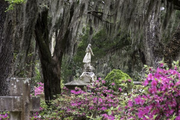 Cemetery Landscaping in Sebring