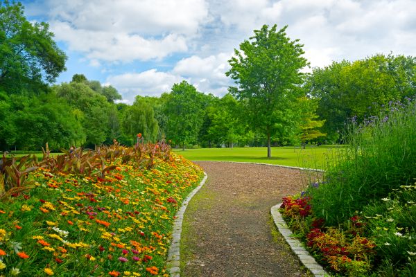 Park Landscaping in Sebring