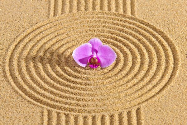 Sand Garden Landscaping in Sebring