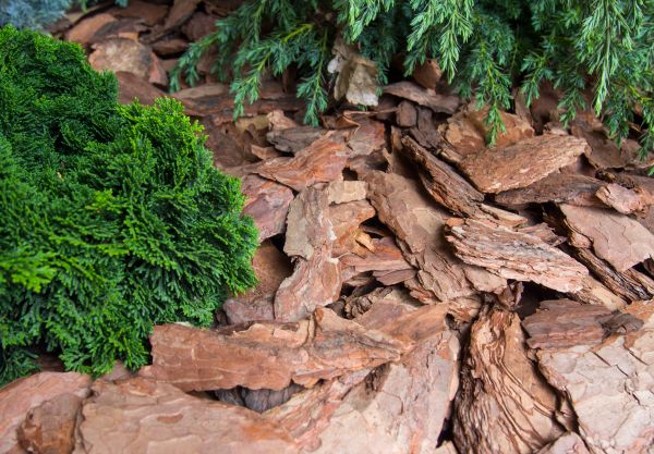 Pine Bark Installation in Sebring