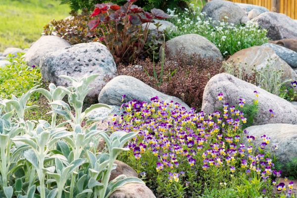 Rock Garden Installation in Sebring