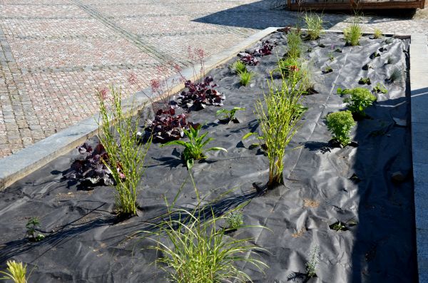 Landscape Fabric Installation in Sebring