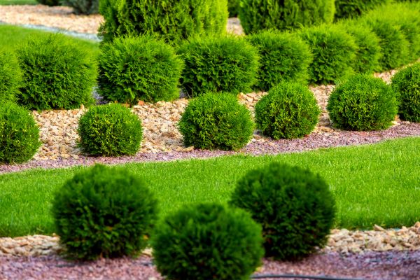 Bush Installation in Sebring