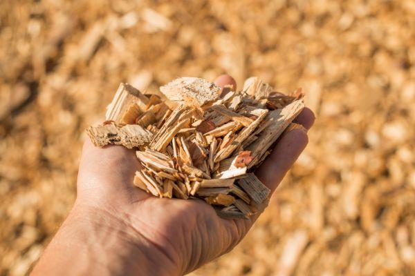 Wood Chips Spreading in Sebring