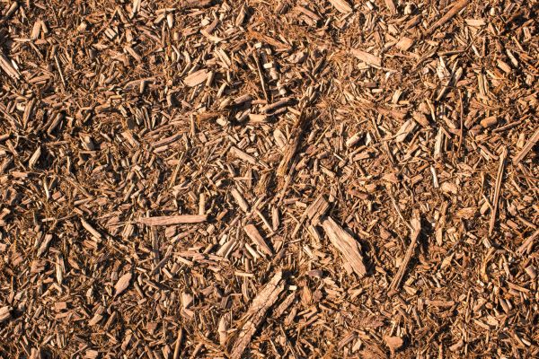 Wood Chips Removal in Sebring