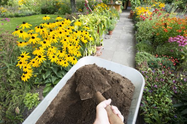 Topsoil Replacement in Sebring