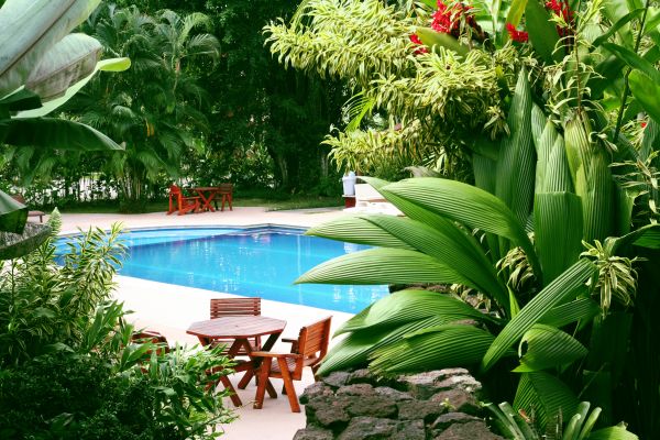 Pool Area Landscaping in Sebring