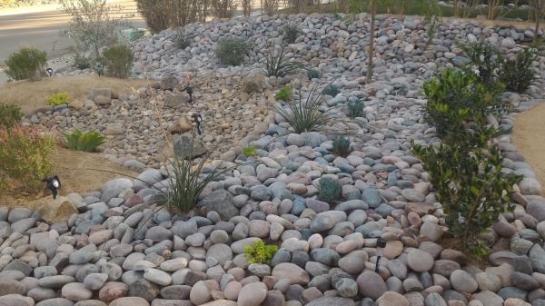 Yard Xeriscaping in Sebring