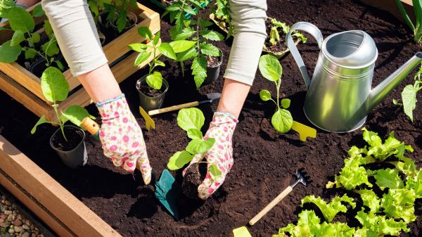 Garden Bed Installation in Sebring