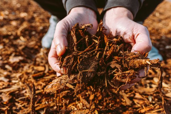 Bark Chips Delivery in Sebring
