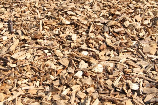 Wood Mulch Delivery in Sebring