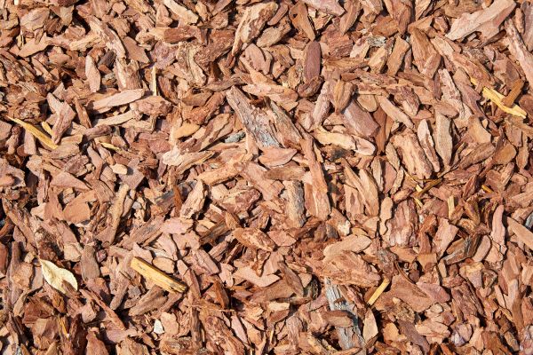 Pine Mulch Delivery in Sebring