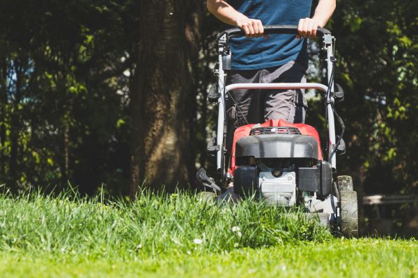 Garden Trimming Service in Sebring