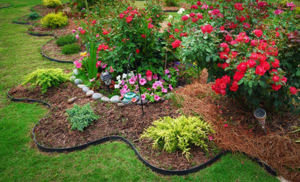 Floral Landscaping in Sebring